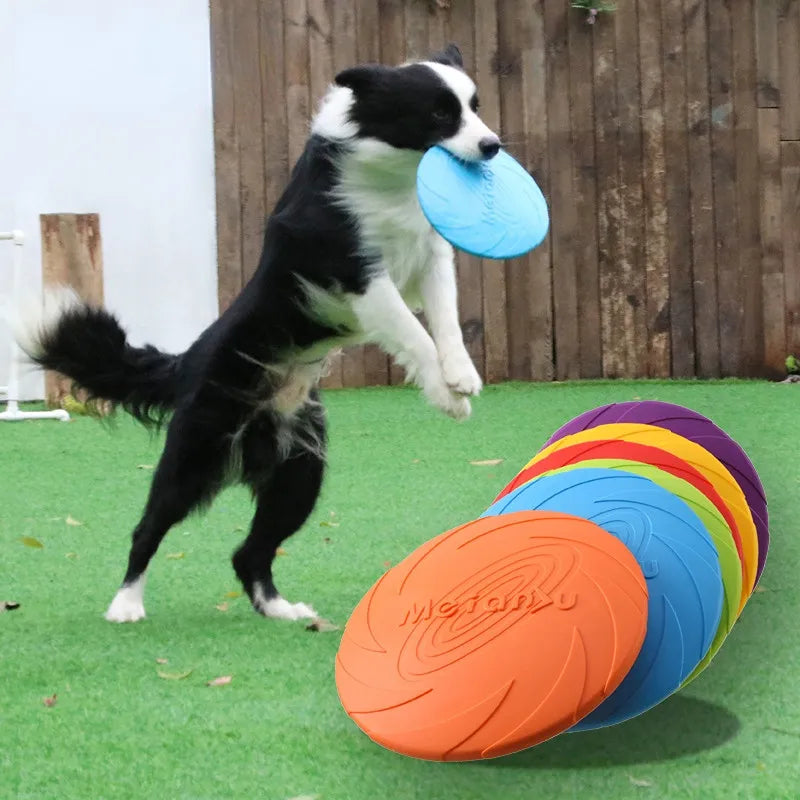 Frisbee Disco Acessório Interativo esportivo para Cães