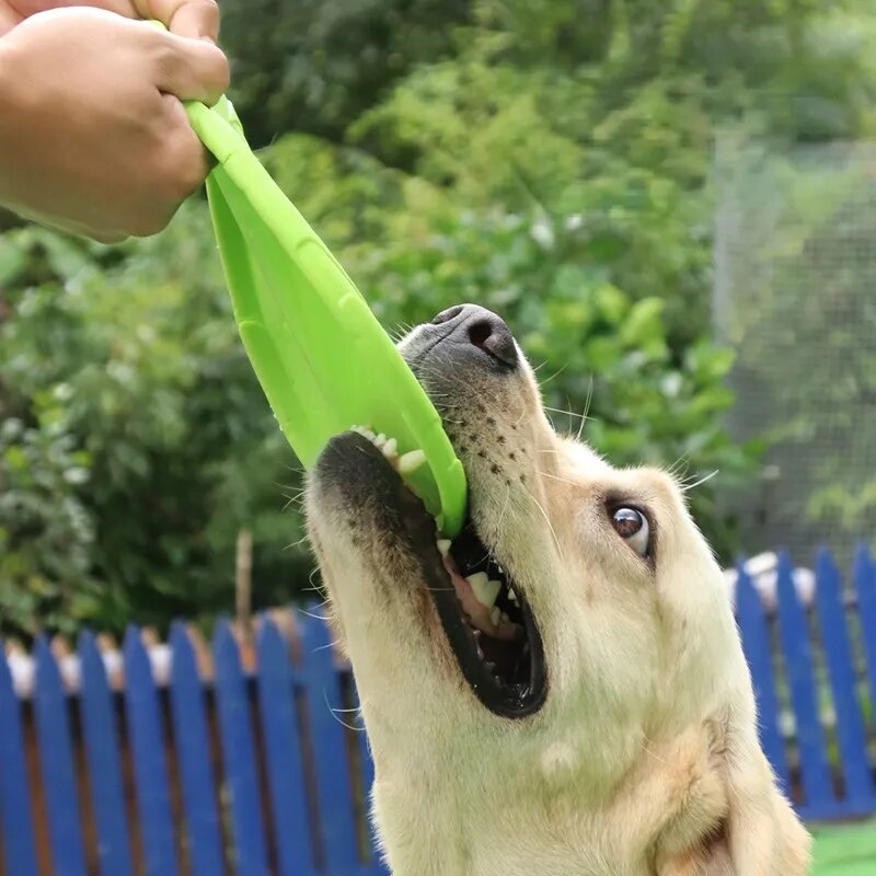 Frisbee Disco Acessório Interativo esportivo para Cães